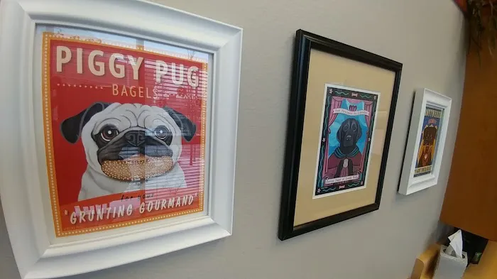 Boulder's Natural Animal Hospital Picture 10