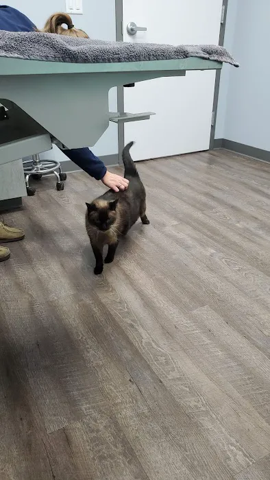 Inspire Animal Hospital Picture 1