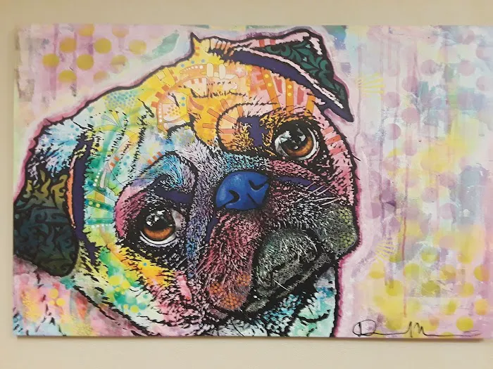 Family Veterinary Hospital Picture 4