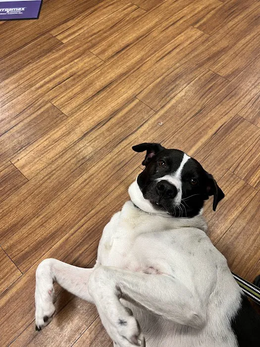 Family Veterinary Hospital Picture 10
