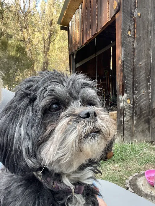 Mountain Vet to Pet Picture 10