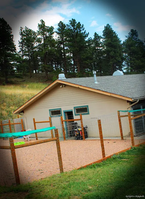 Beaver Brook Pet Center Picture 4