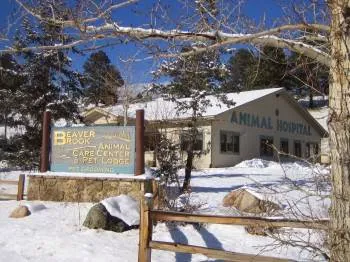 Beaver Brook Pet Center Picture 8