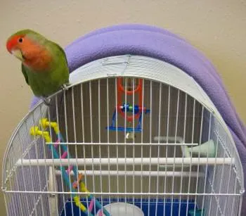 Beaver Brook Pet Center Picture 7
