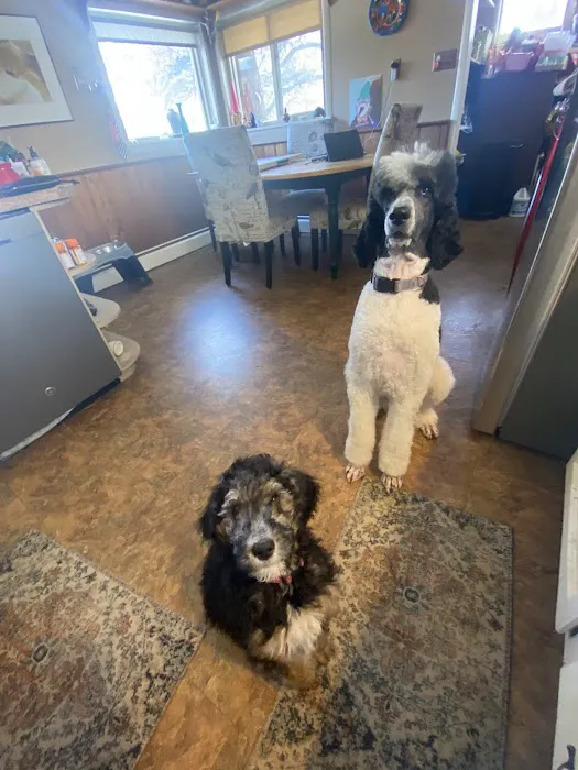 Mountain Parks Veterinary Hospital Picture 6