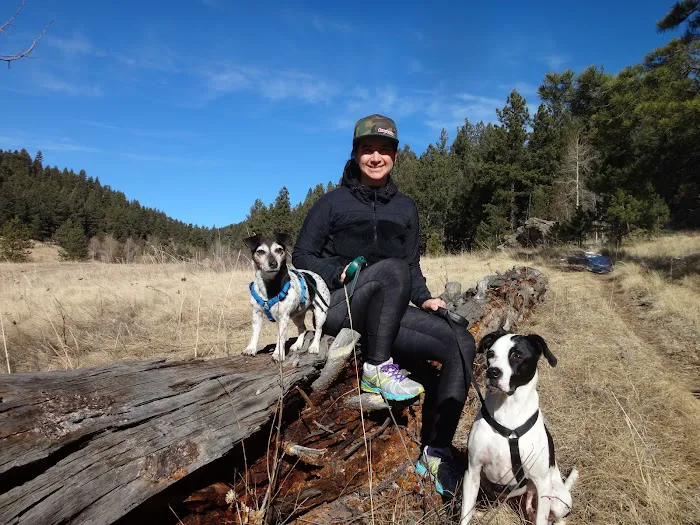 Mountain Parks Veterinary Hospital Picture 10