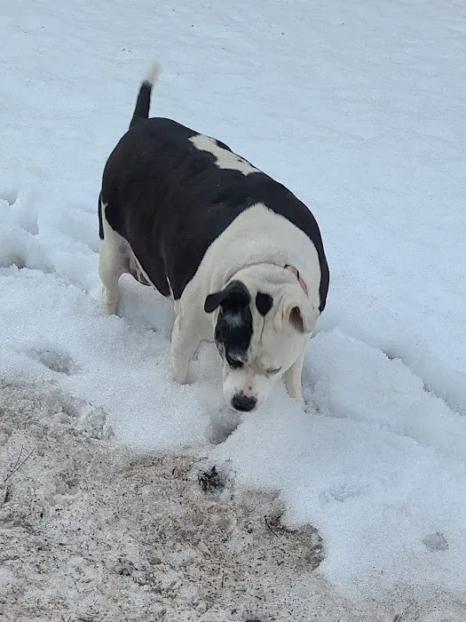 Mountain Parks Veterinary Hospital Picture 7