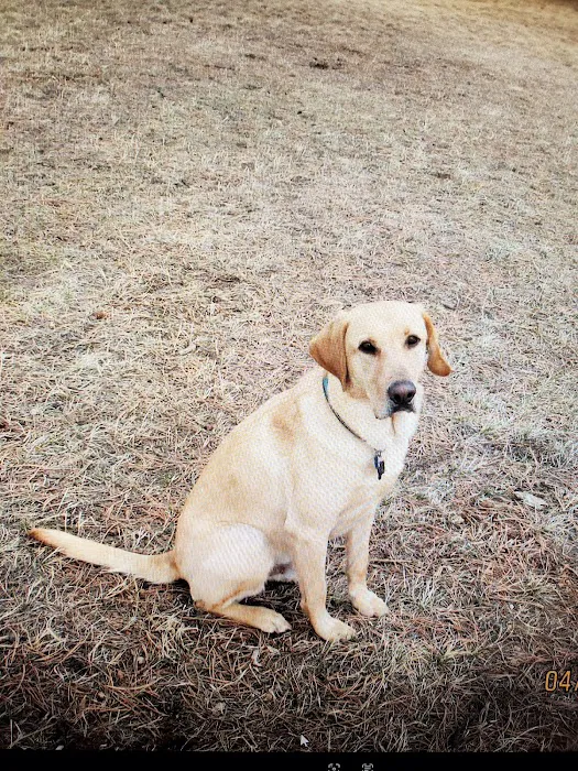 Peace for Paws Mobile Euthanasia LLC Picture 10