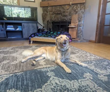 Aspen Park Vet Hospital