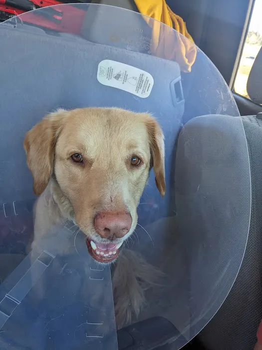 Aspen Park Vet Hospital Picture 2