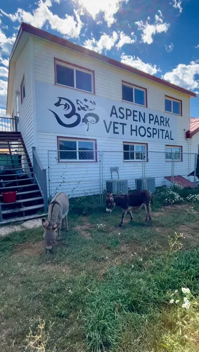 Aspen Park Vet Hospital Picture 4