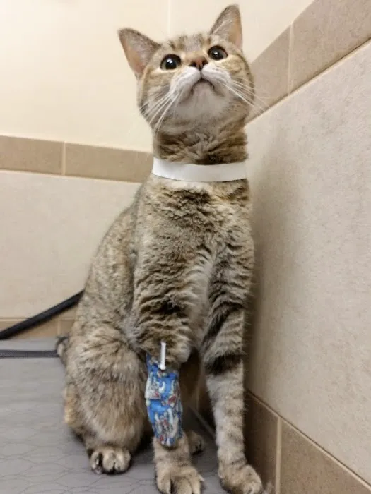 Parker Center Animal Clinic Picture 10