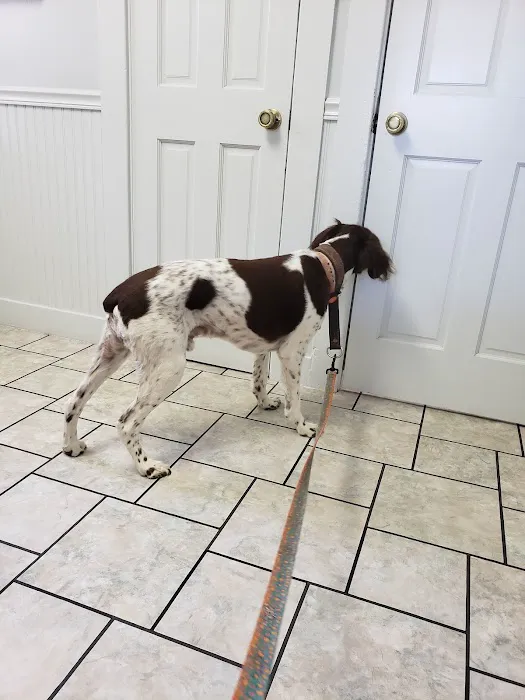 Cottage Veterinary Hospital Picture 3