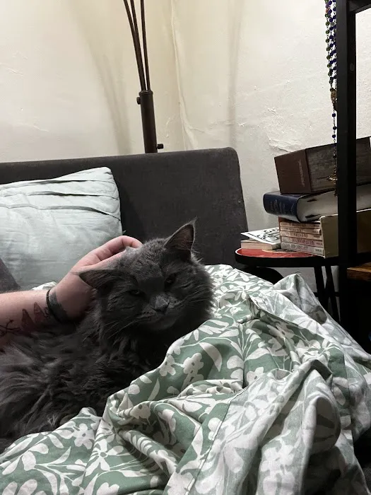 Cottage Veterinary Hospital Picture 9