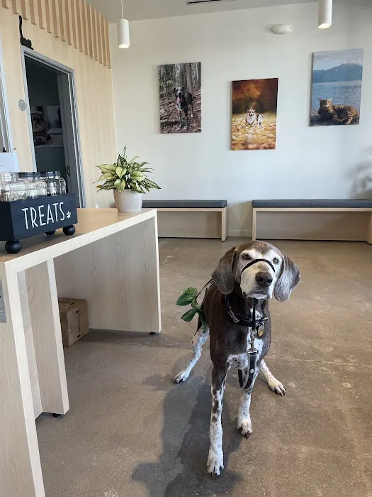 The Ranch Veterinary Hospital Picture 7