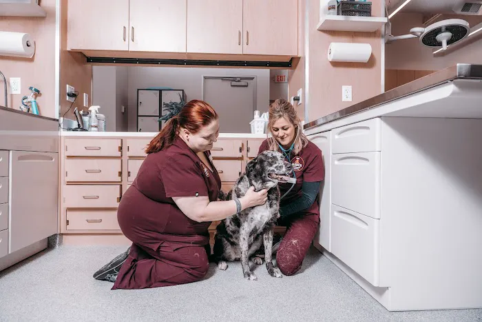 The Ranch Veterinary Hospital Picture 5