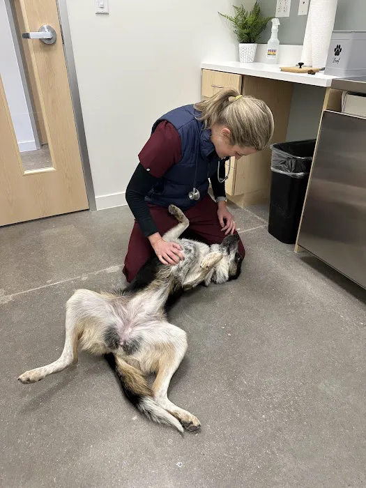 The Ranch Veterinary Hospital Picture 10