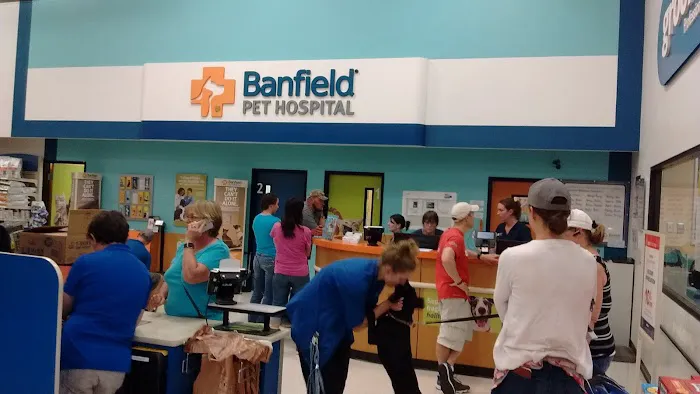 Banfield Pet Hospital Picture 5
