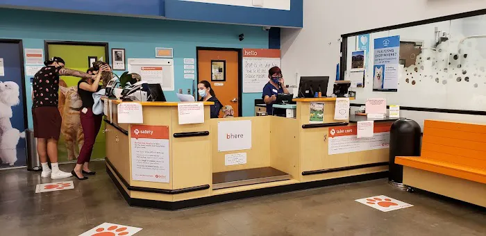 Banfield Pet Hospital Picture 4