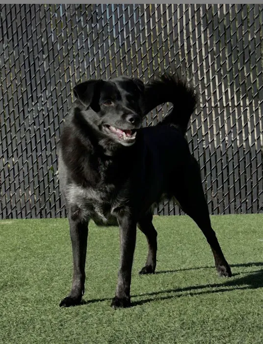 Banfield Pet Hospital Picture 10