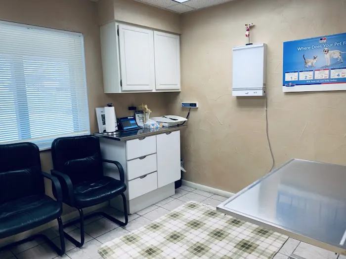 VCA Animal Clinic of Parker Picture 7