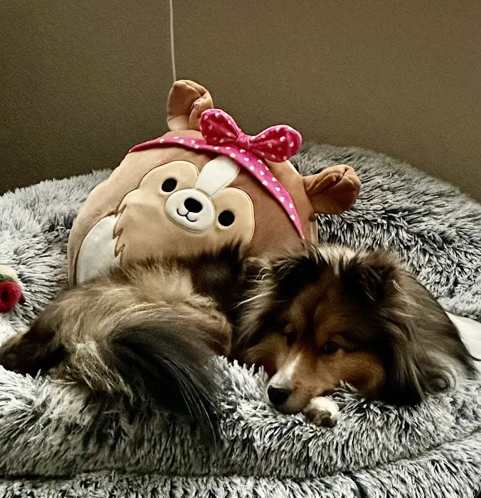 Hess Ridge Animal Hospital Picture 10