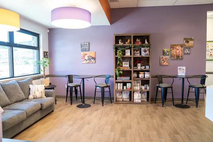 Veterinary Center of Parker, Inc. Picture 3