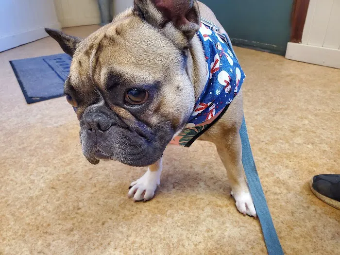 Redwood Veterinary Hospital Picture 2