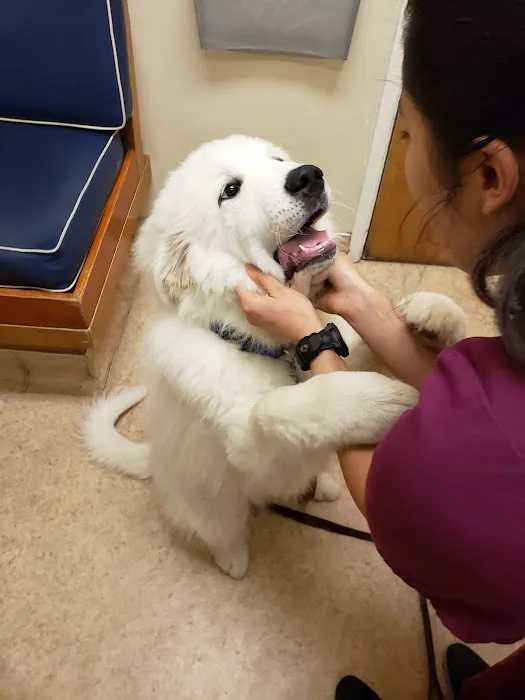 Redwood Veterinary Hospital Picture 6