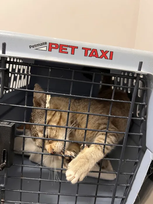 Redwood Veterinary Hospital Picture 5