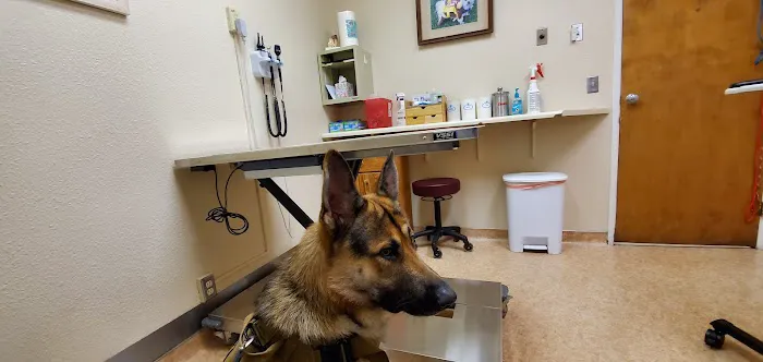 Redwood Veterinary Hospital Picture 8