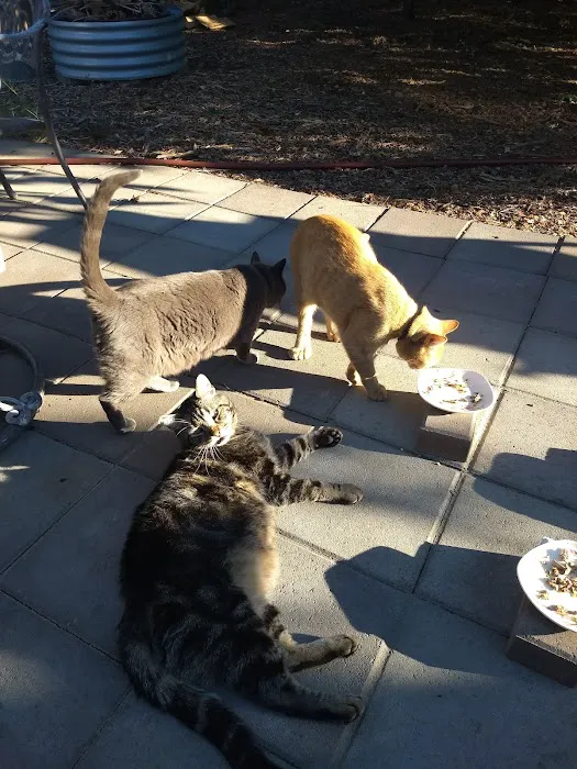 Animal Advocates Veterinary Hospital Picture 3