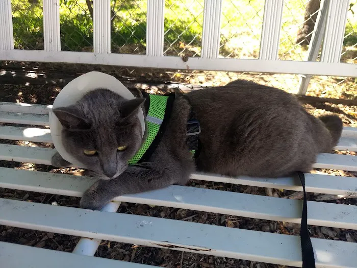 Animal Advocates Veterinary Hospital Picture 6