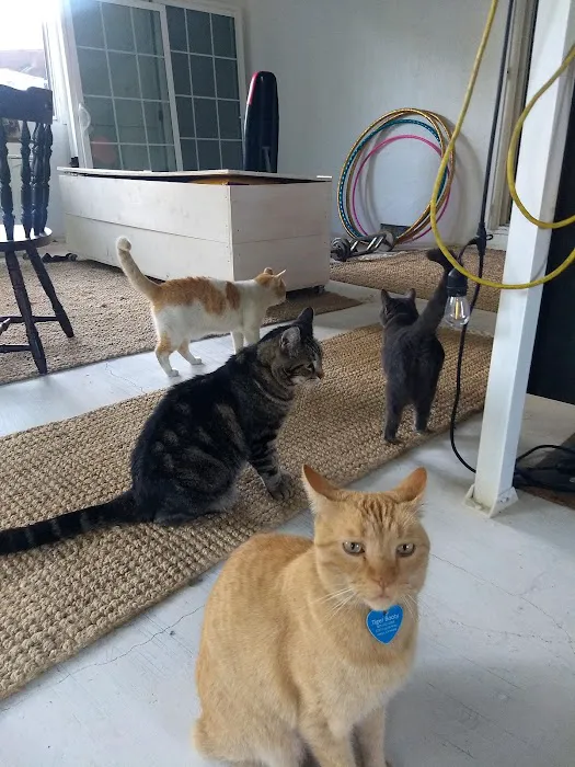 Animal Advocates Veterinary Hospital Picture 10