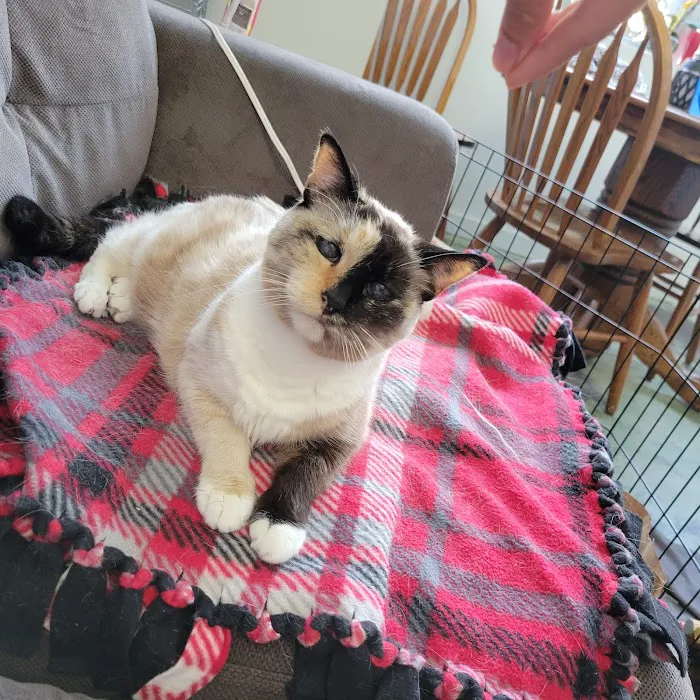 Pets at Peace Picture 6