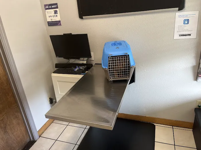 Animal Clinic of Benicia Picture 1