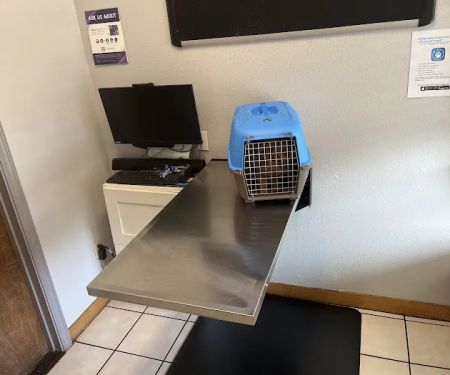 Animal Clinic of Benicia