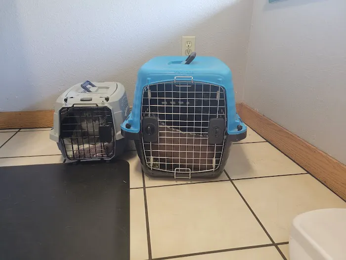 Animal Clinic of Benicia Picture 7