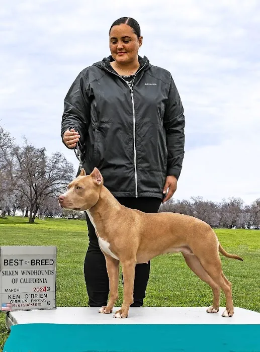 Animal Clinic of Benicia Picture 8