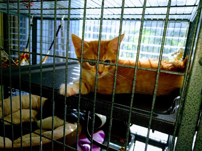 Martinez Animal Hospital Picture 6