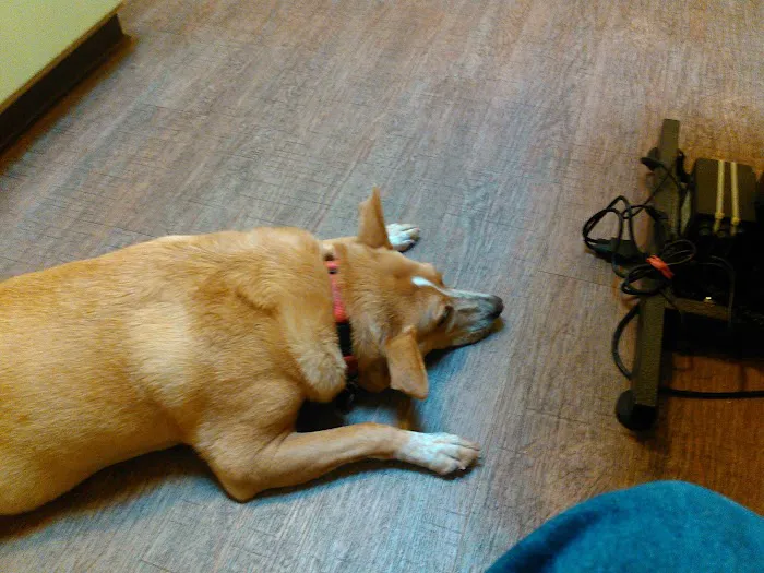 Martinez Animal Hospital Picture 8