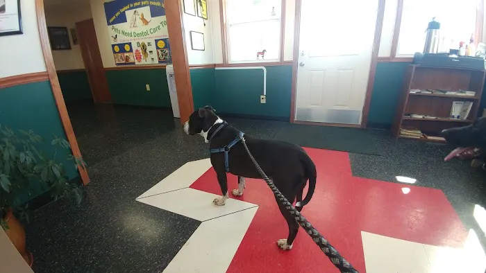 Cornerstone Animal Clinic PLLC Picture 5