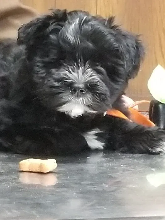 Midway Veterinary Clinic Picture 2