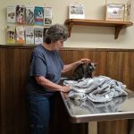Midway Veterinary Clinic