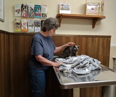 Midway Veterinary Clinic