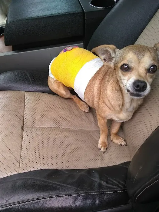 Midway Veterinary Clinic Picture 9