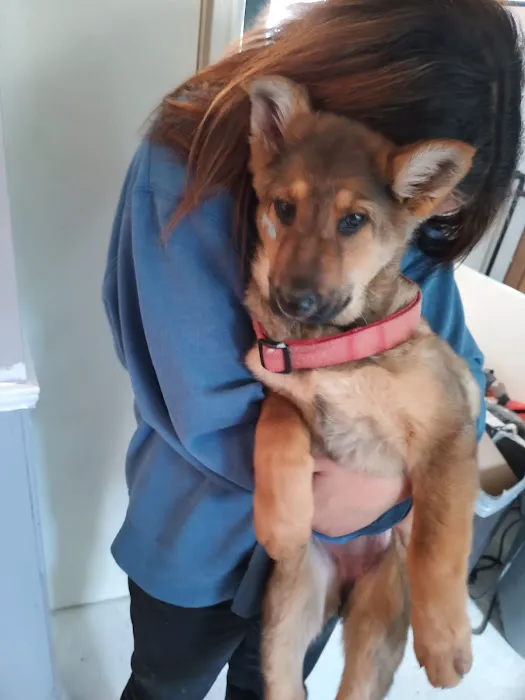Midway Veterinary Clinic Picture 7