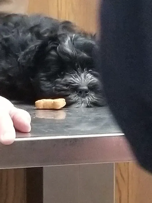 Midway Veterinary Clinic Picture 8