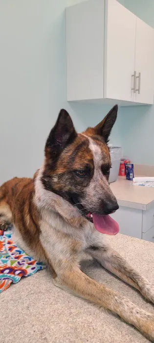 Vine Grove Veterinary Hospital Picture 7