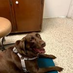 Bluegrass Animal Care Center-Radcliff